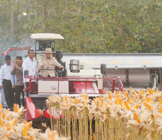 Prabowo di Tuban: Polri Kerap Dicibir, Tapi Panen Jagung Kini Bicara Hasil Presiden Prabowo Subianto mengendarai traktor saat menghadiri panen raya jagung serentak di lahan pertanian Kabupaten Tuban, Jawa Timur. Foto: Harnas.id