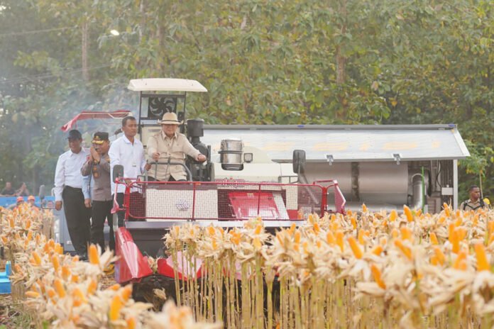Presiden Prabowo Subianto mengendarai traktor saat menghadiri panen raya jagung serentak di lahan pertanian Kabupaten Tuban, Jawa Timur. Foto: Harnas.id