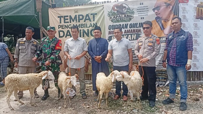 Distribusi ratusan domba kurban oleh Kapalang Misteri di Ciomas, Kabupaten Bogor. Foto: Harnas.id Distribusi ratusan domba kurban oleh Kapalang Misteri di Ciomas, Kabupaten Bogor. Foto: Harnas.id