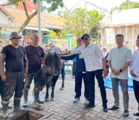 Dedie Ajak Warga Jaga Bogor Tetap Adem saat Idul Adha, Sapi Presiden di Kayumanis Jadi Perhatian Wakil Wali Kota Bogor Jenal Mutaqin memantau proses penyembelihan sapi kurban bantuan Presiden di Kayumanis. Foto: Pemkot Bogor