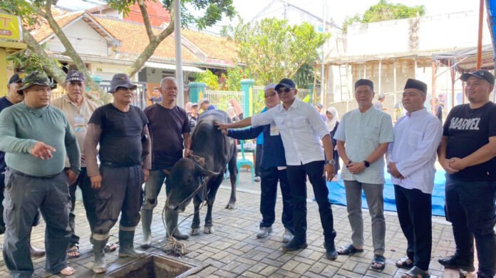 Wakil Wali Kota Bogor Jenal Mutaqin memantau proses penyembelihan sapi kurban bantuan Presiden di Kayumanis. Foto: Pemkot Bogor