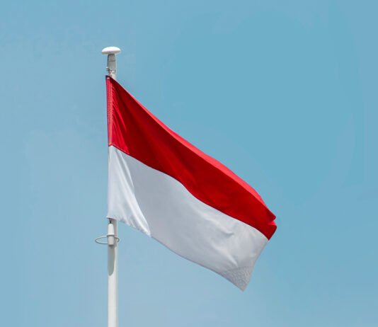 Kemlu RI Kecam Pencegatan Armada Gaza, Nasib WNI di Global Sumud Flotilla Jadi Sorotan Ilustrasi Bendera Indonesia. Foto: aboodi-vesakaran-unsplash