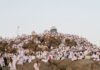 Apa yang Dilakukan Jamaah Haji Ketika Wukuf di Arafah? Ini Amalan dan Keutamaannya Ilustasri Jamaah haji berdoa saat pelaksanaan wukuf di Padang Arafah. Foto: Unsplash/Istimewa