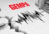 Gempa M 7,7 Guncang Laut Sulawesi, BNPB Minta Warga Pesisir Tak Tunggu Air Surut untuk Evakuasi Ilustrasi aktivitas seismograf saat merekam gempa bumi. Image: Istimewa