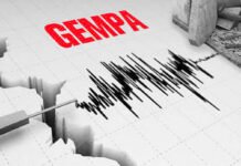 Gempa M 7,7 Guncang Laut Sulawesi, BNPB Minta Warga Pesisir Tak Tunggu Air Surut untuk Evakuasi Ilustrasi aktivitas seismograf saat merekam gempa bumi. Image: Istimewa