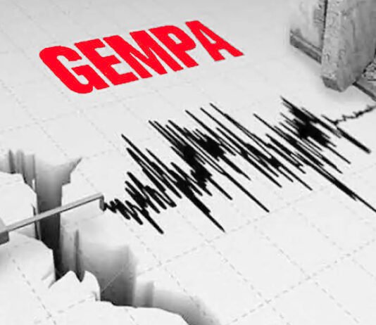 Gempa M 7,7 Guncang Laut Sulawesi, BNPB Minta Warga Pesisir Tak Tunggu Air Surut untuk Evakuasi Ilustrasi aktivitas seismograf saat merekam gempa bumi. Image: Istimewa