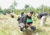 Tanam 2.000 Pohon di Bogor, Telkomsel Ajak Pelanggan Tak Cuma Bicara Iklim Peserta Telkomsel Jaga Bumi Movement melakukan penanaman pohon di Desa Tegal Waru, Kecamatan Ciampea, Kabupaten Bogor, Sabtu (6/6/2026). Foto: Telkomsel