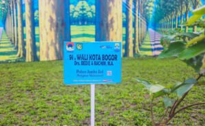 Plang nama pohon jambu bol yang ditanam Wali Kota Bogor Dedie A. Rachim. (Dok. Pemkot Bogor)