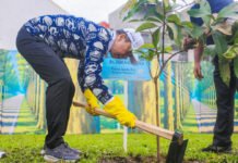 Dedie Rachim Tanam Pohon Jambu Bol, Aksi Hijau Warnai Rakernas APEKSI 2026 Wali Kota Bogor Dedie A. Rachim menanam bibit pohon jambu bol di Taman Cadika, Medan, dalam rangkaian Rakernas XVIII APEKSI 2026. (Dok. Pemkot Bogor)
