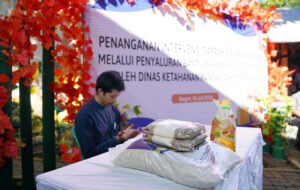 Penyaluran bantuan pangan kepada warga penerima manfaat di Kelurahan Kebon Kalapa, Kota Bogor. Foto: Ano Suwarno