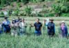 Dari 15 ke 534 Hektare, Program Bawang Putih Satgas Pangan Polri di Sembalun Mulai Panen Hasil Kapolda Lampung Irjen Pol. Helfi Assegaf Meninjau Pengembangan Lahan Bawang Putih di Kecamatan Sembalun, Lombok Timur (Dok. Satgas Pangan Polri)