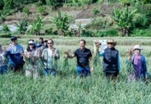 Dari 15 ke 534 Hektare, Program Bawang Putih Satgas Pangan Polri di Sembalun Mulai Panen Hasil Kapolda Lampung Irjen Pol. Helfi Assegaf Meninjau Pengembangan Lahan Bawang Putih di Kecamatan Sembalun, Lombok Timur (Dok. Satgas Pangan Polri)