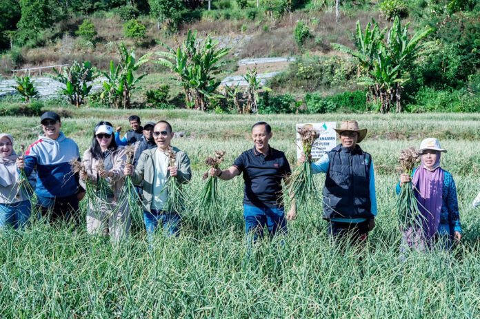 Kapolda Lampung Irjen Pol. Helfi Assegaf Meninjau Pengembangan Lahan Bawang Putih di Kecamatan Sembalun, Lombok Timur (Dok. Satgas Pangan Polri)