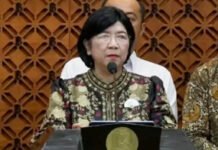 Destry Damayanti Jadi Calon Tunggal Gubernur BI, Ini Rekam Jejaknya Destry Damayanti, Calon Tunggal Gubernur Bank Indonesia. Foto: Istimewa