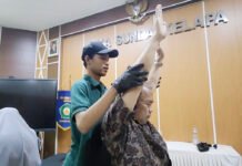 Sambut HUT ke-81 RI, SMA Sunda Kelapa dan Rangka Gelar Fisioterapi Gratis untuk “Memerdekakan” Kebugaran Guru