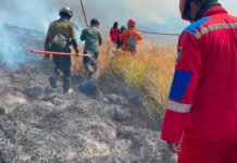 Karhutla Meluas di Gunung Bromo, Sekitar 60 Hektare Lahan Terbakar, Wisata Ditutup Sementara Petugas gabungan melakukan upaya pemadaman kebakaran hutan dan lahan di kawasan Taman Nasional Bromo Tengger Semeru, Jawa Timur. (Dok. BNPB)