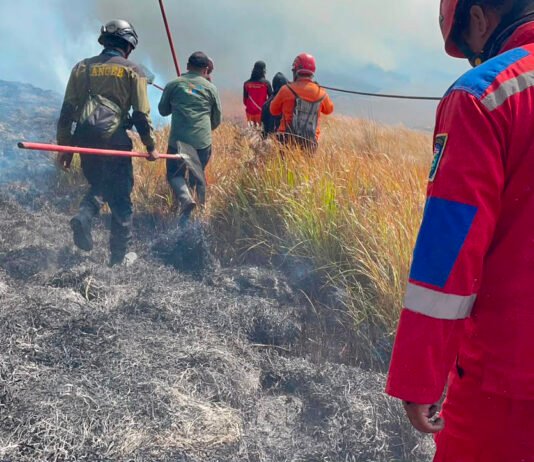 Karhutla Meluas di Gunung Bromo, Sekitar 60 Hektare Lahan Terbakar, Wisata Ditutup Sementara Petugas gabungan melakukan upaya pemadaman kebakaran hutan dan lahan di kawasan Taman Nasional Bromo Tengger Semeru, Jawa Timur. (Dok. BNPB)