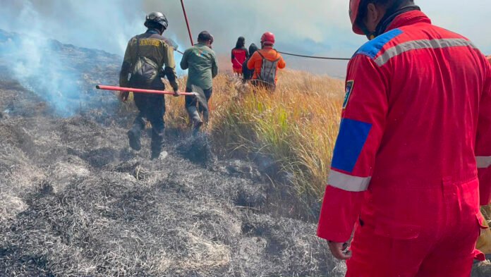 Petugas gabungan melakukan upaya pemadaman kebakaran hutan dan lahan di kawasan Taman Nasional Bromo Tengger Semeru, Jawa Timur. (Dok. BNPB)