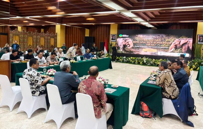 Peserta mengikuti konsultasi publik penyusunan Strategi dan Rencana Aksi Konservasi (SRAK) Gajah Sumatera dan Gajah Kalimantan di Jakarta. (Dok. Kementerian Kehutanan) Peserta mengikuti konsultasi publik penyusunan Strategi dan Rencana Aksi Konservasi (SRAK) Gajah Sumatera dan Gajah Kalimantan di Jakarta. (Dok. Kementerian Kehutanan)