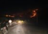 Karhutla di Perkebunan Warga Banggai Meluas, Sekitar 100 Hektare Terdampak Kebakaran Lahan di Perkebunan Desa Toipan, Banggai. Foto: Istimewa