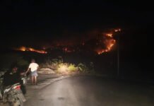 Karhutla di Perkebunan Warga Banggai Meluas, Sekitar 100 Hektare Terdampak Kebakaran Lahan di Perkebunan Desa Toipan, Banggai. Foto: Istimewa