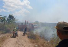 7 Hektare Lahan Tebu Pabrik Gula Takalar Terbakar, Dugaan Api Sengaja Disulut Masih Didalami Petugas memadamkan kebakaran di lahan perkebunan tebu Pabrik Gula Takalar, Jumat (7/8/2026). Foto: Ist