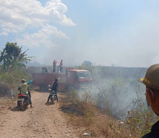 7 Hektare Lahan Tebu Pabrik Gula Takalar Terbakar, Dugaan Api Sengaja Disulut Masih Didalami Petugas memadamkan kebakaran di lahan perkebunan tebu Pabrik Gula Takalar, Jumat (7/8/2026). Foto: Ist