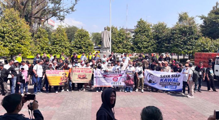 Peternak Ayam Petelur DIY Gelar Aksi di Kantor DPRD DIY. Foto: Harnas.id