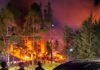 Dana Desa 206 Kampung Dipersoalkan, Sejumlah Kantor Pemerintah di Puncak Papua Tengah Dibakar Massa Kobaran Api Membakar Salah Satu Kantor Pemerintah di Kabupaten Puncak, Papua Tengah. Foto: Istimewa