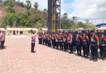100 Personel Brimob Digeser ke Lokasi Gempa NTT, Bawa Peralatan SAR hingga Bantuan Pangan Personel Brimob Polri bergerak menuju wilayah terdampak gempa di Nusa Tenggara Timur untuk mendukung operasi SAR dan kemanusiaan. Foto: Brimob