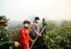 Karhutla Tanjab Timur Disorot, Kapolda Jambi Cek Hotspot di Taman Nasional Berbak Kapolda Jambi bersama Gubernur Jambi dan Danrem 042/Gapu memantau penanganan Karhutla di Tanjung Jabung Timur. Foto: Polda Jambi