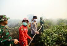 Karhutla Tanjab Timur Disorot, Kapolda Jambi Cek Hotspot di Taman Nasional Berbak Kapolda Jambi bersama Gubernur Jambi dan Danrem 042/Gapu memantau penanganan Karhutla di Tanjung Jabung Timur. Foto: Polda Jambi