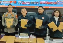 Paket Ganja 18 Kg Hendak Dikirim ke Sidoarjo, Polisi Amankan Pria 25 Tahun di Bogor Polisi menunjukkan barang bukti ganja dan obat keras tertentu hasil pengungkapan kasus narkotika di Kota Bogor. Foto: Istimewa