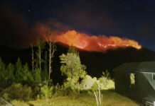 Karhutla Kepung Sejumlah Gunung di Jawa Timur, Semeru dan Ungup-Ungup Masih Ditangani Tim gabungan melakukan penanganan kebakaran hutan dan lahan di kawasan pegunungan Jawa Timur
