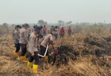 Polda Jambi Gunakan 1.400 Liter X-Fire Tangani Karhutla di Taman Nasional Berbak Personel Satbrimob Polda Jambi melakukan penanganan kebakaran hutan dan lahan menggunakan cairan X-Fire di kawasan Taman Nasional Berbak, Tanjung Jabung Timur, Senin (21/9/2026). Foto: Harnas.id