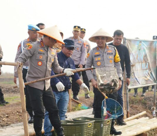 Dari Muara Gembong ke SPPG, Polri Dorong Pangan Lokal Masuk Rantai Pasok MBG Panen Ikan dan Udang di Muara Gembong untuk Mendukung Rantai Pasok MBG. Foto: Polda Metro Jaya