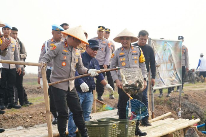 Panen Ikan dan Udang di Muara Gembong untuk Mendukung Rantai Pasok MBG. Foto: Polda Metro Jaya