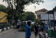 Pohon Tumbang di Depok Timur Timpa Kendaraan, Kemacetan Mengular Hingga 1 Kilometer Batang pohon yang tumbang melintang di Jalan Gema Insani, Depok Timur (depan Gema Insani), Sabtu (31/10/2026) sore. Insiden ini menimpa sejumlah kendaraan bermotor dan memicu kemacetan panjang hingga 1 kilometer. Foto: Harnas.id/ Avon