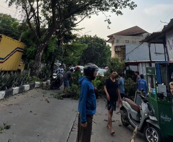 Batang pohon yang tumbang melintang di Jalan Gema Insani, Depok Timur (depan Gema Insani), Sabtu (31/10/2026) sore. Insiden ini menimpa sejumlah kendaraan bermotor dan memicu kemacetan panjang hingga 1 kilometer. Foto: Harnas.id/ Avon