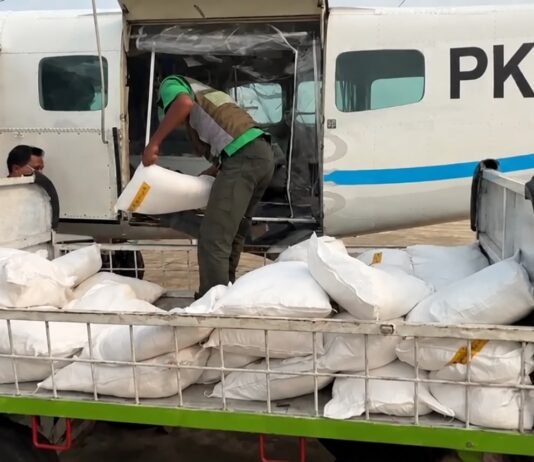Kabut Asap Selimuti Bandara Palembang, Pesawat OMC Terbang dari Bandara Pangkal Pinang