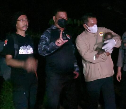 Polisi Selamatkan Induk dan Anak Orang Utan Terdampak Karhutla di Kalimantan Tengah