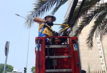 Dedie Rachim Potong Kabel Semrawut dan Tidak Beraturan di RE Martadinata
