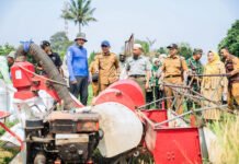 Panen Raya di Katulampa, Pemkot Bogor Soroti Lahan Pertanian yang Makin Terbatas Wakil Wali Kota Bogor Jenal Mutaqin menghadiri panen raya bersama kelompok tani di Katulampa. Foto: Pemkot Bogor