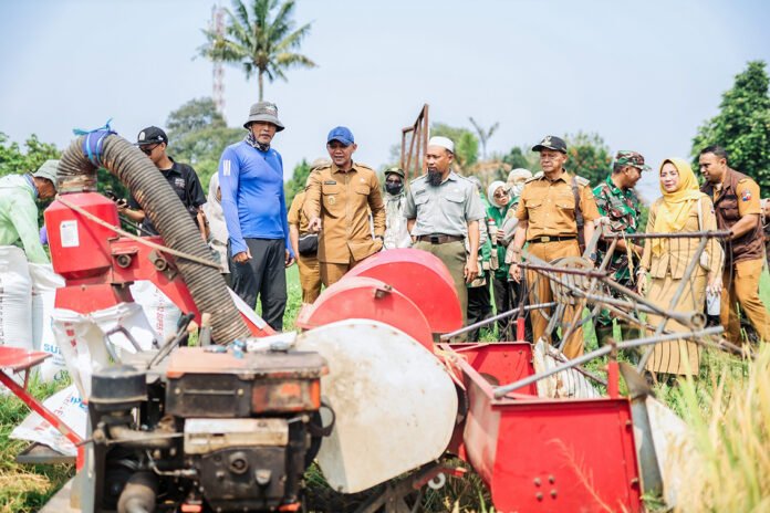 Wakil Wali Kota Bogor Jenal Mutaqin menghadiri panen raya bersama kelompok tani di Katulampa. Foto: Pemkot Bogor