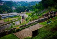 Jelang Dibuka, Pemkot Bogor Pastikan Trase Baru Saleh Danasasmita dan Underpass Aman