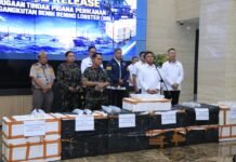Polri Ungkap Dugaan Penyelundupan Baby Lobster Lintas Negara, Dua Pelaku Ditangkap