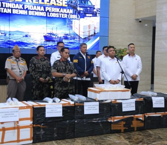 Polri Ungkap Dugaan Penyelundupan Baby Lobster Lintas Negara, Dua Pelaku Ditangkap
