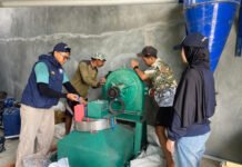 TEP ITS Olah Pecahan Beras Menjadi Tepung Bernilai Ekonomi di Papua Barat