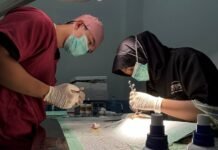 Polri Sterilisasi 34 Kucing untuk Kendalikan Populasi Hewan