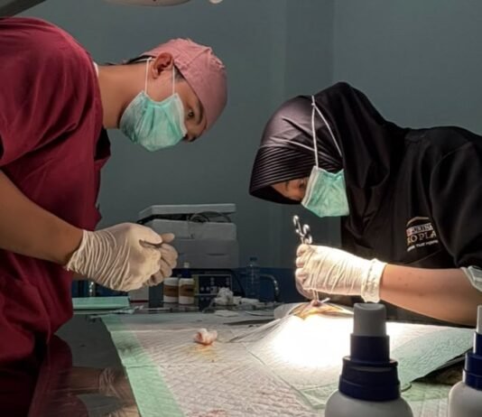 Polri Sterilisasi 34 Kucing untuk Kendalikan Populasi Hewan